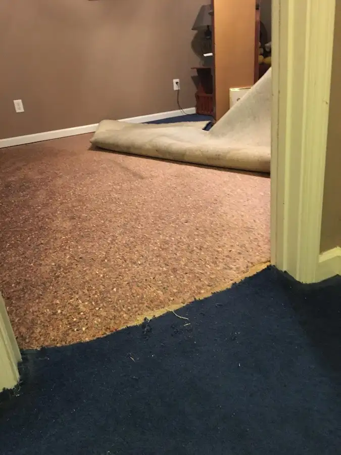 Carpet pad removal revealing water damage during Water Mitigation Services in Kenosha
